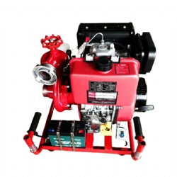 Portable diesel engine fire pump BJ10B